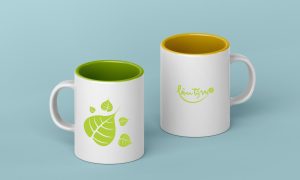 logo mầm non lâm tỳ ni - Tử Huyệt